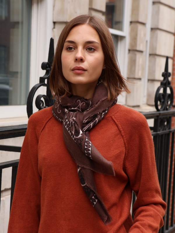 Blake - Bandana Print Scarf In brown