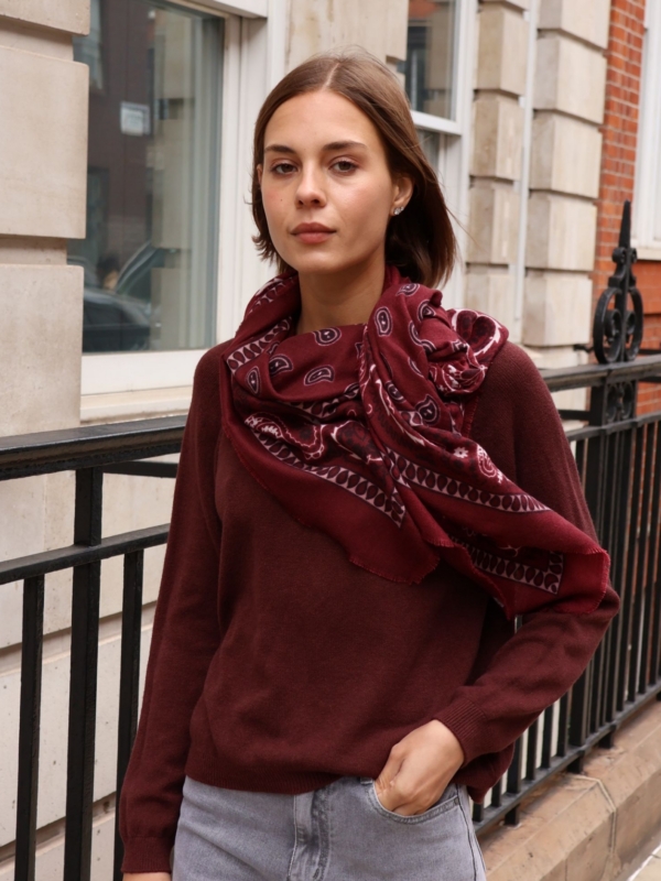 Blake - Bandana Print Scarf In burgundy